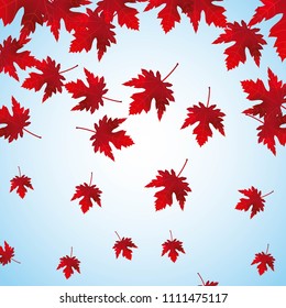 Falling Red Maple Leaves Background