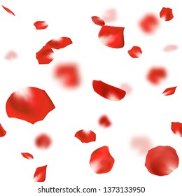 Falling red rose flower petals on white background. Seamless pattern. Vector illustration.
