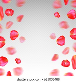 Falling red rose petals border on transparent background. Realistic vector illustration. 