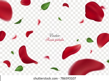 透明な背景に赤いバラの花びらと緑の葉 女性の日とバレンタインデーのグリーティングカードのデザインに適用される 美しいバラの花びらを持つベクターイラスト のベクター画像素材 ロイヤリティフリー