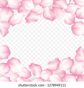 Falling red rose petals isolated on white background. Vector illustration EPS10