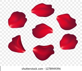 Falling red rose petals isolated on white background. Vector illustration EPS10