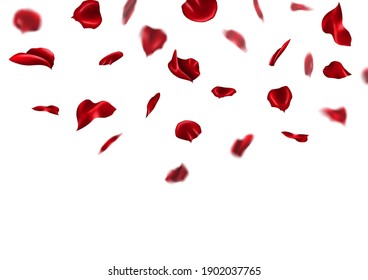 Falling Red Rose Petals Isolated On Stock Vector (Royalty Free ...