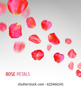 A lot of falling red rose petals on transparent background. Vector illustration.
