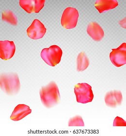 A lot of falling red rose petals on transparent background.