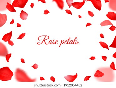 Caer pétalos de rosa roja. Pétalo volador realista, marco botánico romántico para el día de San Valentín y decoración de bodas, elementos decorativos florales bordeados lisos borde horizontal afiche o volante