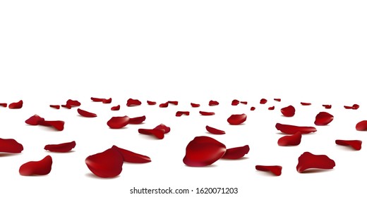 赤いバラの花びらが床に散らばっている 白い背景 の写真素材 今すぐ編集