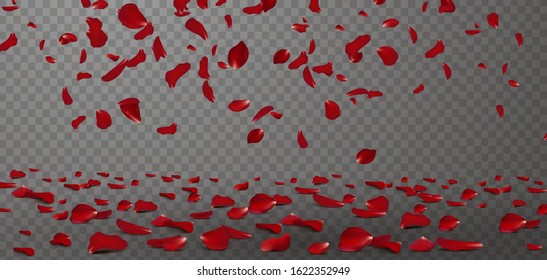 Falling red rose petals seasonal confetti, blossom elements flying isolated. Abstract floral background with beauty roses petal. design for greeting cards on March 8, Women Day, Valentine's Day.