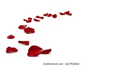 Falling red rose petals seasonal confetti, blossom elements flying isolated. Abstract floral background with beauty roses petal. design for greeting cards. Rose petals fall to the floor.