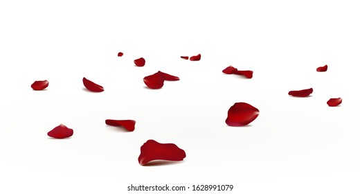 Falling red rose petals seasonal confetti, blossom elements flying isolated. Abstract floral background with beauty roses petal. design for greeting cards. Rose petals fall to the floor. vector.