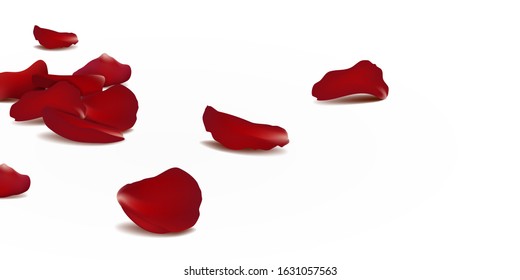 Falling red rose petals seasonal confetti, blossom elements flying isolated. Abstract floral background with beauty roses petal. design for greeting cards. Rose petals fall to the floor. vector.