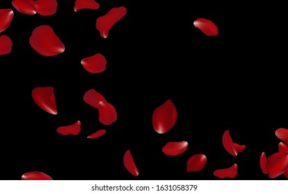 Falling red rose petals seasonal confetti, blossom elements flying on black background. Abstract floral background with beauty roses petal. design for greeting cards on March 8, Women Day. vector.