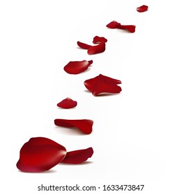 Falling red rose petals seasonal confetti, blossom elements flying isolated. Abstract floral background with beauty roses petal. design for greeting cards. Rose petals fall to the floor.