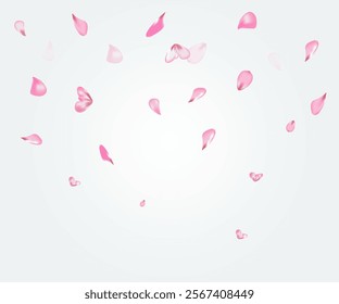 Falling rose or cherry petals. Pink petals on white background Vector illustration
