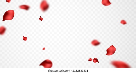 falling rose petals background vector design 3D illustration