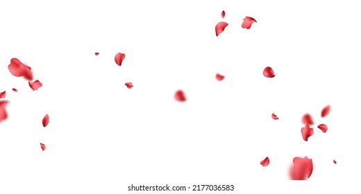 falling rose petals background vector design 3D illustration