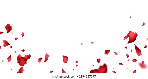 falling rose petals background vector design 3D illustration