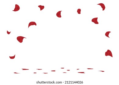 La Caída De Pétalos De Rosa Aislados En Fondo Blanco. Vector