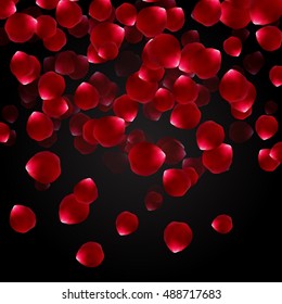 Falling rose petals on a black background. Romantic wallpaper. Vector illustration.
