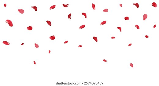  Falling rose petals on white background and roses. Roses drawn in linestyle. Lines and spots. Vector illustration for lovers day celebration.