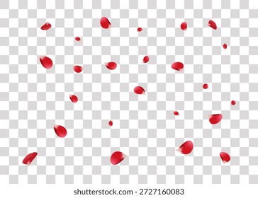 La caída de pétalos de rosa. Pétalos rojos sobre fondo transparente Ilustración vectorial Elementos de San Valentín