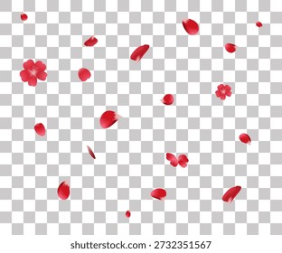 Falling rose petals. Red petals on transparent background Vector illustration Art for celebrating Valentines Day