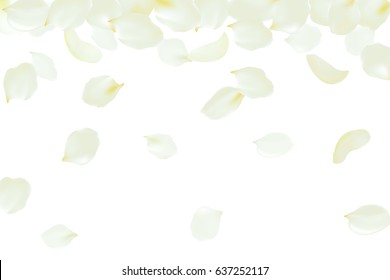 Falling rose petals soft delicate yellow blossom flying flowers. 3d realistic design. Vector illustration art