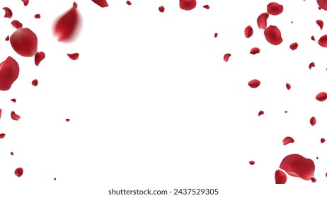 Ilustración de vector de pétalos de rosa. Pétalos de rosa roja sobre fondo transparente falso