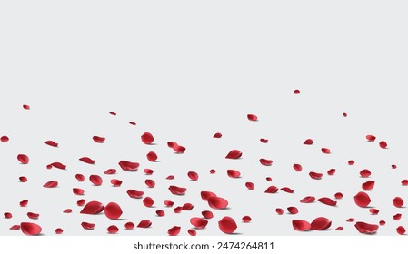 Caída de pétalos de rosa Ilustración vectorial. Pétalos de rosa roja en falso transparente 4k