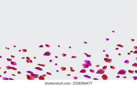 Falling Rose two colors petals Vector illustration. Red rose petals on fake  background