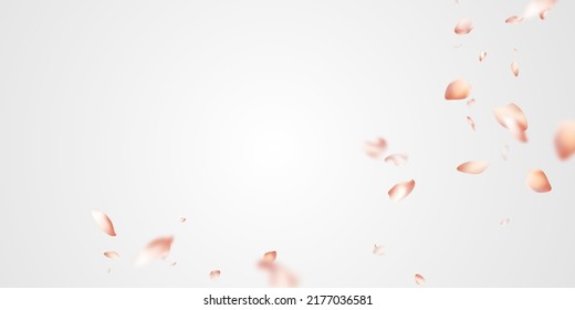Fallende Sakura-Petals-Hintergrund 3D-Illustrationsdesign-Vektorgrafik