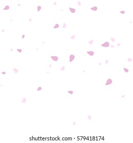 Falling Sakura Petals Isolated On White Background. Vector