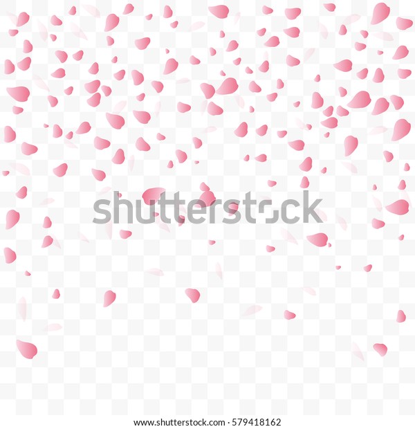 Falling Sakura Petals Isolated On Transparent Stock Vector (Royalty