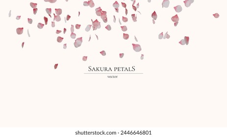 Falling sakura petals in realistic style. Vector without background.