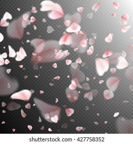 Falling sakura pink petals background. EPS 10 vector file included