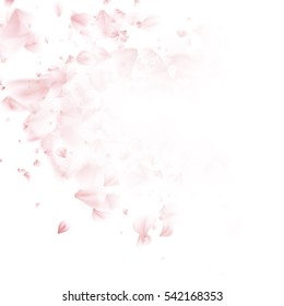 Falling sakura pink petals background. EPS 10 vector file included