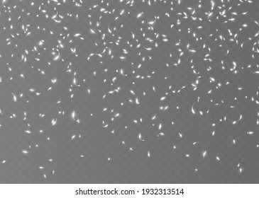 Falling silver confetti, shiny tinsel, and pieces of serpentine, abstract party background. Christmas decoration isolated on dark transparent backdrop. Realistic vector illustration.