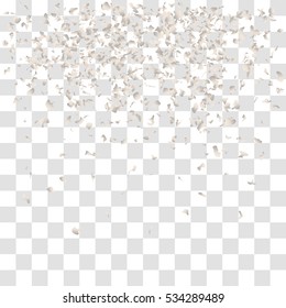 Falling snow on a transparent background. Abstract snowflake background for your winter design. Vector illustration