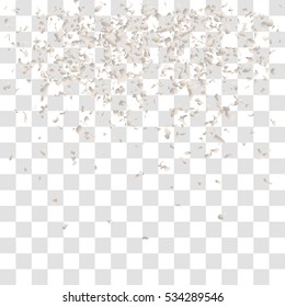 Falling snow on a transparent background. Abstract snowflake background for your winter design. Vector illustration