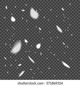  Falling Snow Overlay