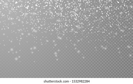 Falling snowflakes on transparent background. Christmas snow. Vector illustration.