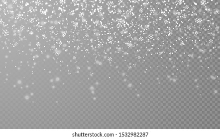 Falling snowflakes on transparent background. Christmas snow. Vector illustration.