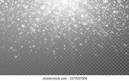 Falling snowflakes on transparent background. Christmas snow. Vector illustration.