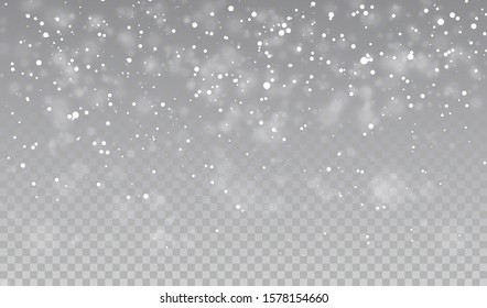 Falling snowflakes on transparent background. Christmas snow. Vector illustration.