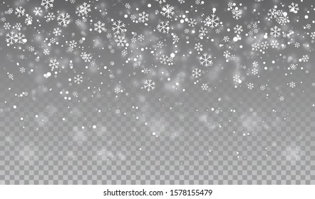 Falling snowflakes on transparent background. Christmas snow. Vector illustration.