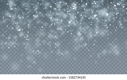 Falling snowflakes on transparent background. Christmas snow. Vector illustration.
