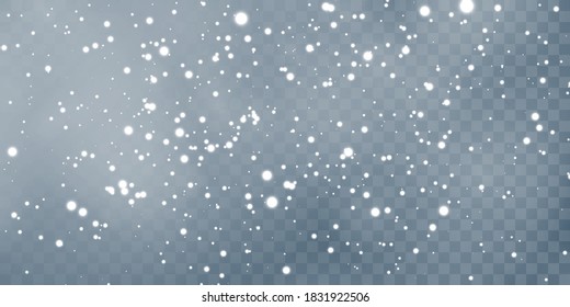 Falling snowflakes on transparent background. Christmas snow. Vector illustration.