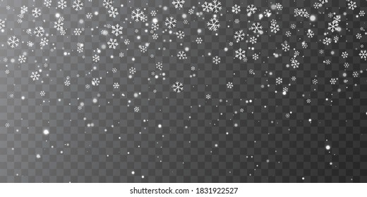 Falling snowflakes on transparent background. Christmas snow. Vector illustration.