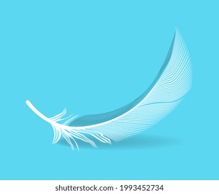 Falling soft bird feather isolated on blue background