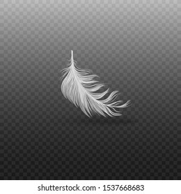 Falling and soft realistic white bird feather with fluff on a transparent background. Realistic single flying swan or goose feather, vector illustration.